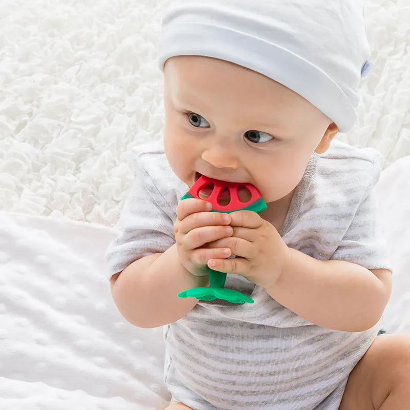 100% Silicone Baby Fruit Teether