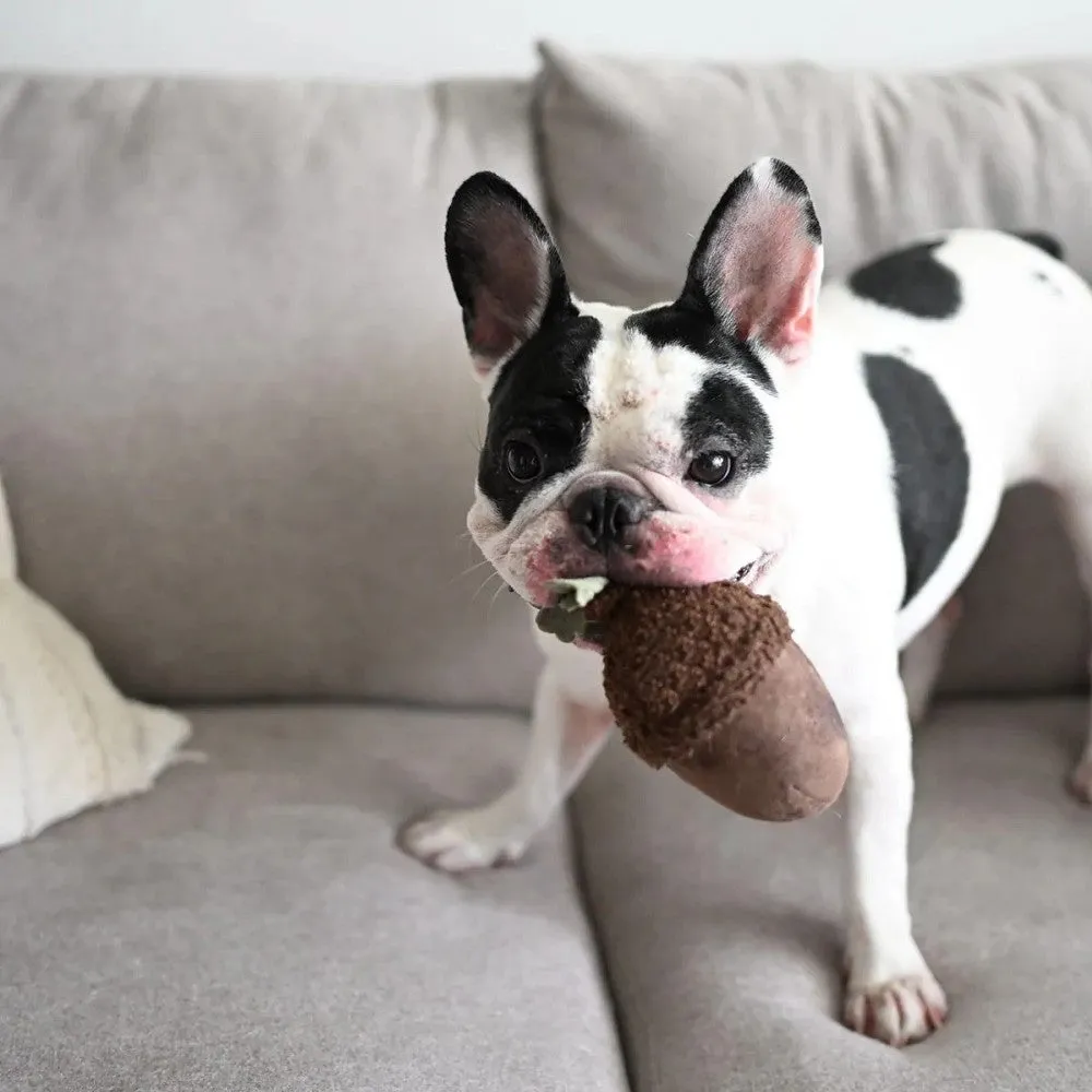 Acorn Squeaky & Bouncy Dog Toy