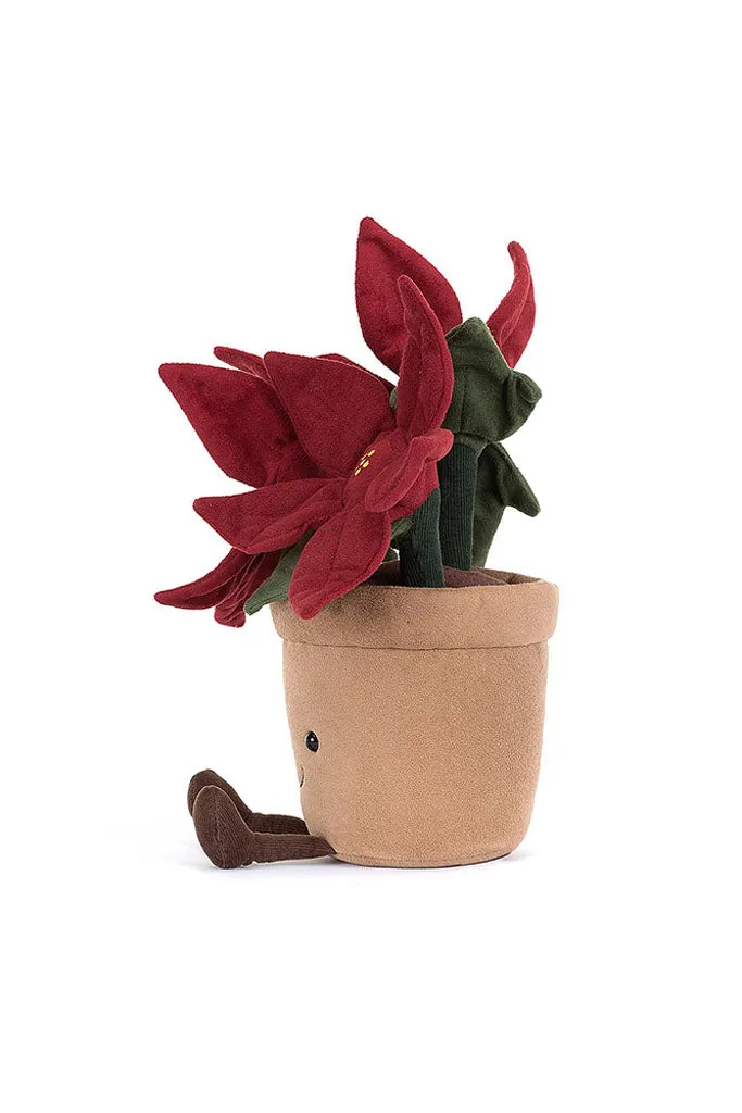 Amuseable Poinsettia