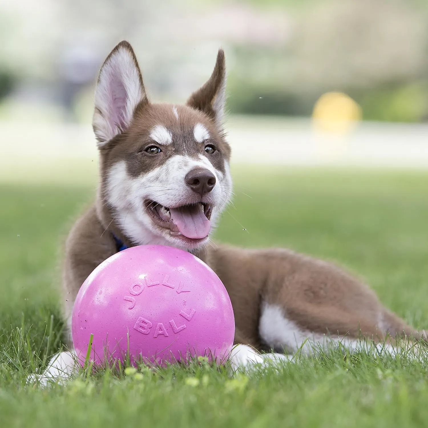 Bounce-N-Play Jolly Ball