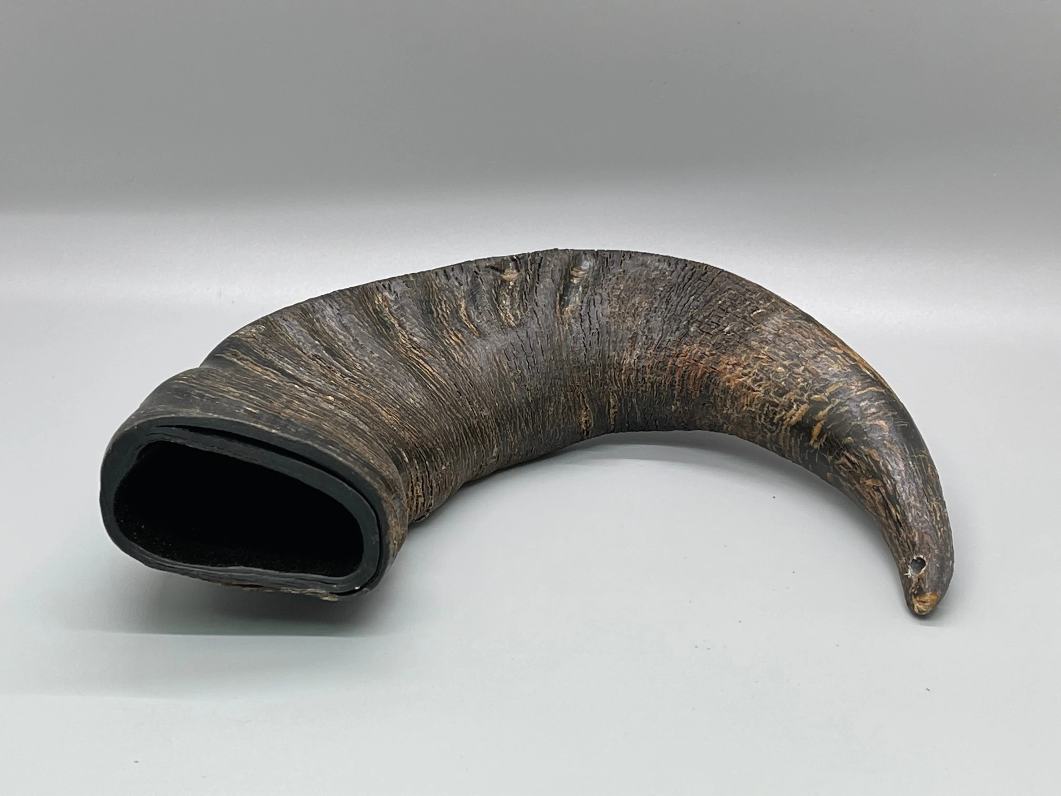 Buffalo Horn