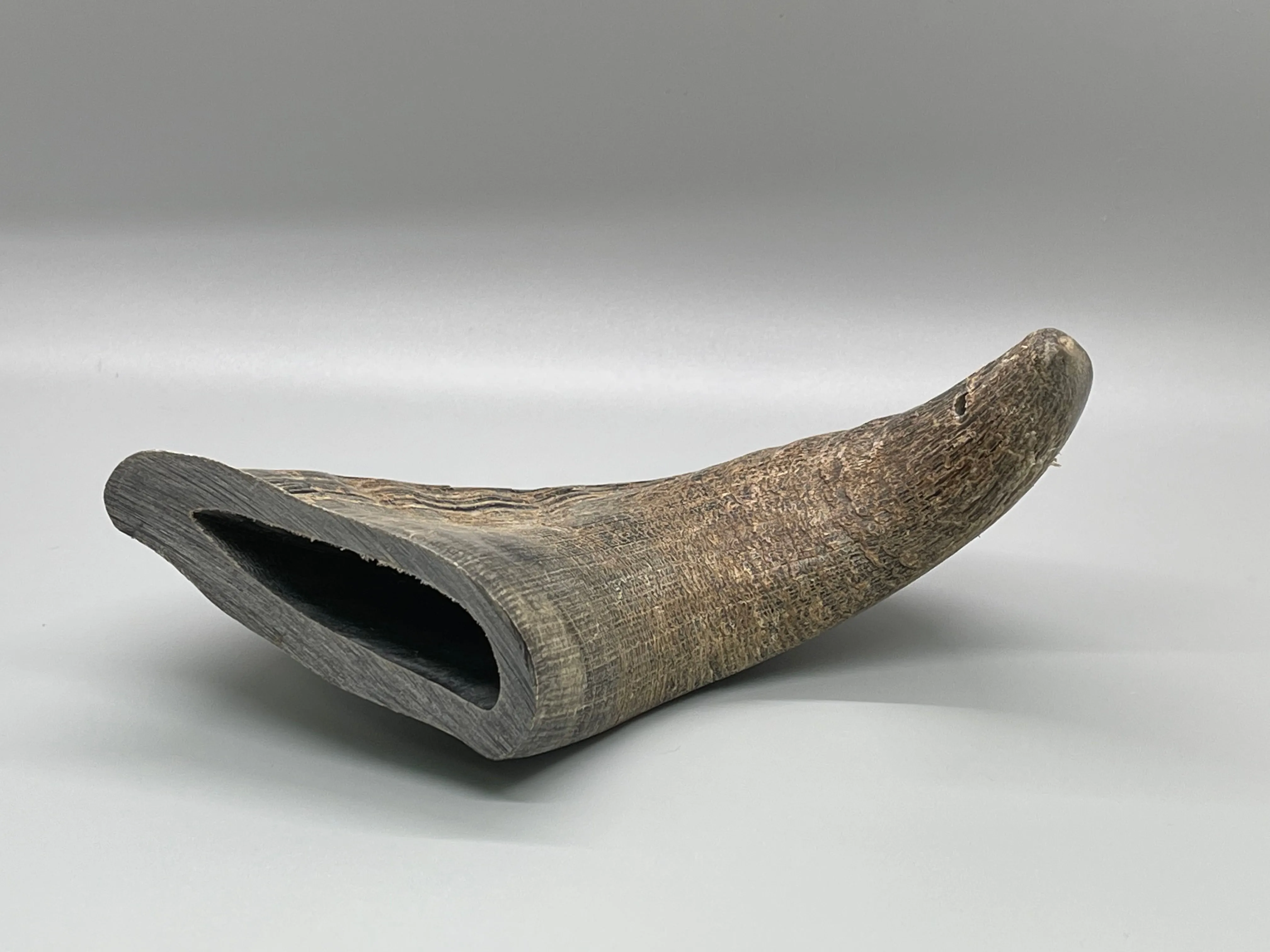 Buffalo Horn