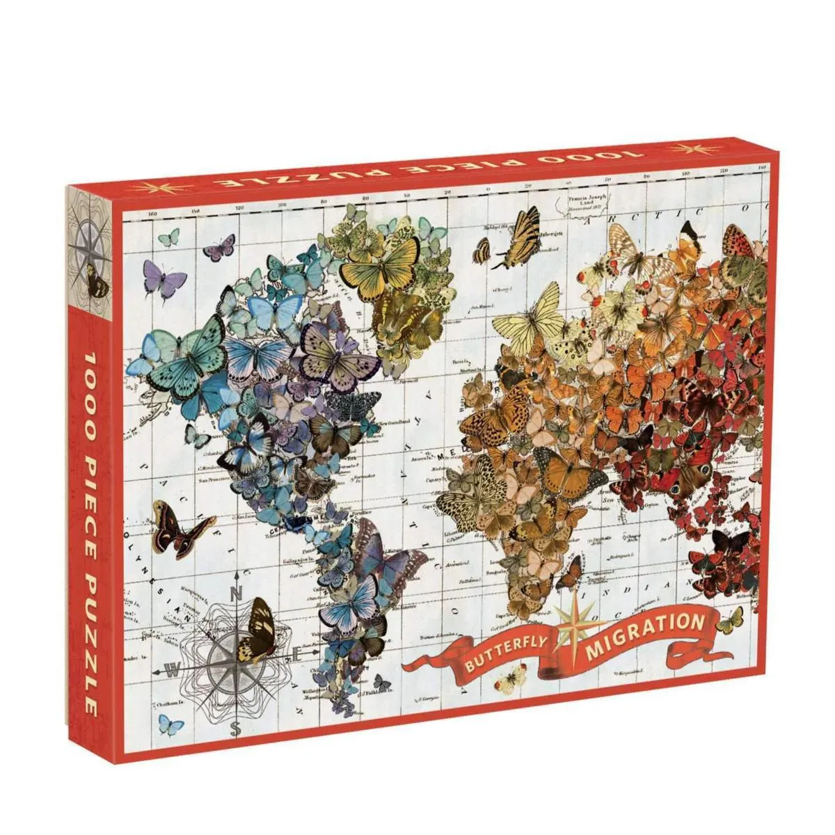 Butterfly Migration Puzzle