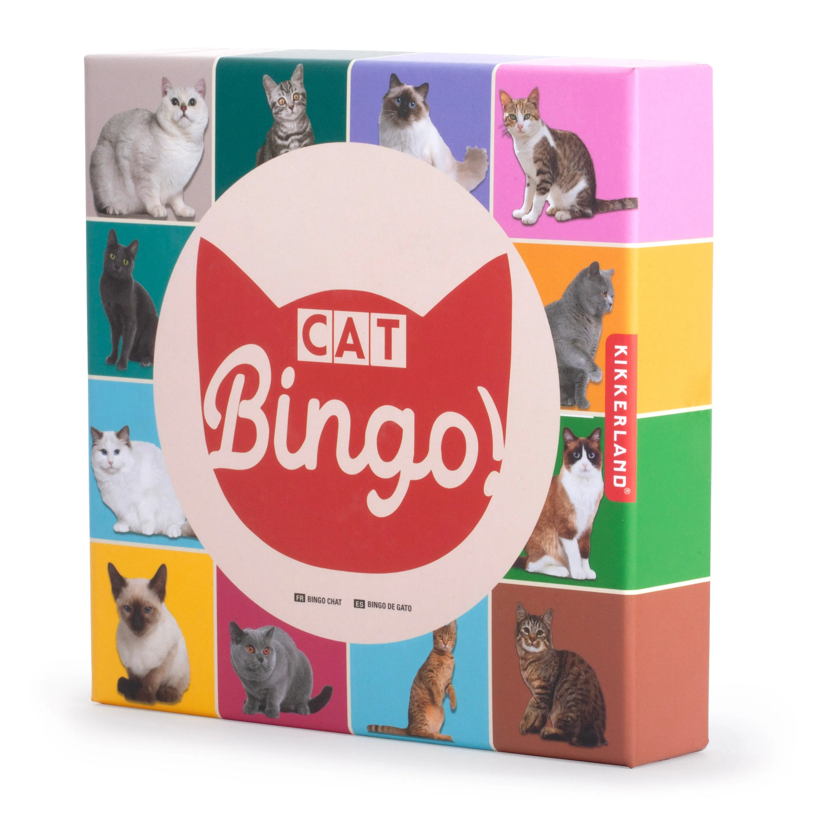 Cat Bingo