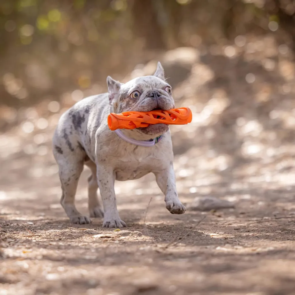 Chuckit! Air Fetch Stick Toy For Dogs - Large