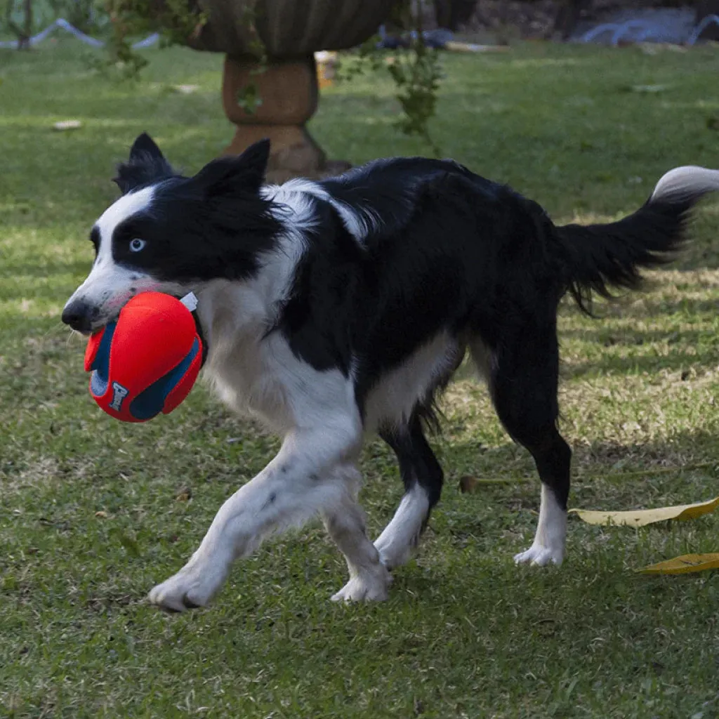 Chuckit! Fumble Fetch Toy For Dogs - Small