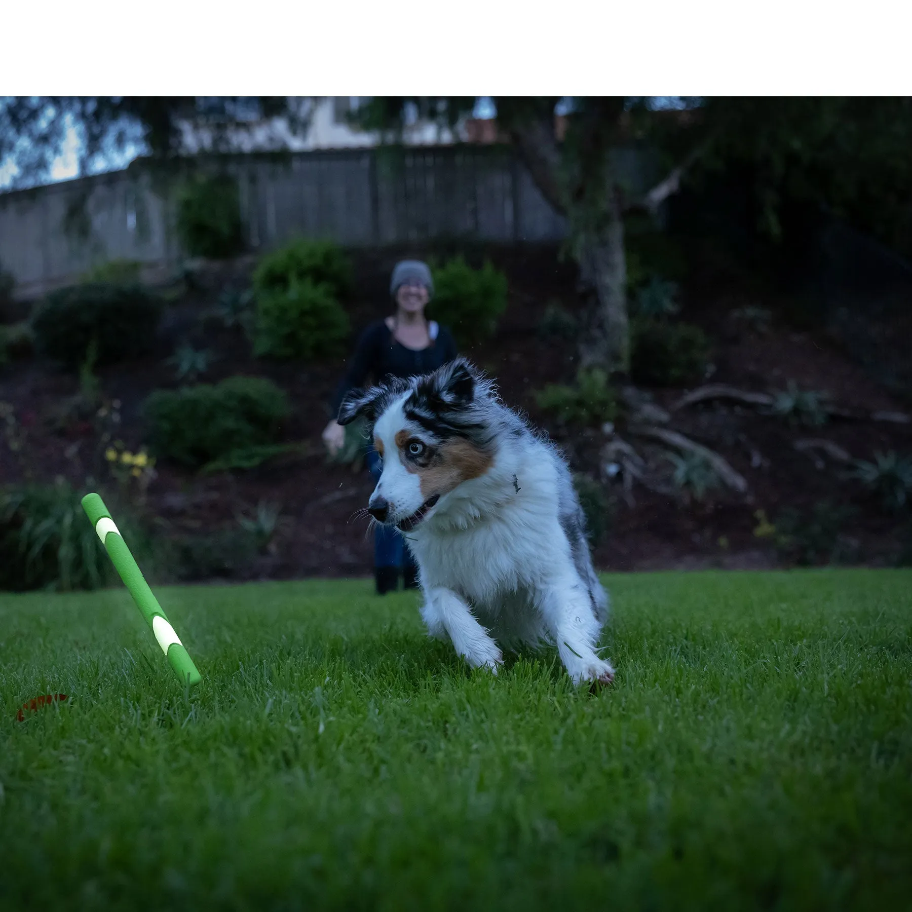 Chuckit! Max Glow Ultra Fetch Stick