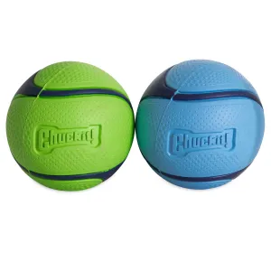 Chuckit! Sniff Fetch Ball Duo