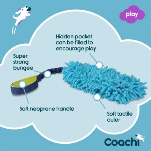 Coachi Training Tuggi Hide Dog Toy