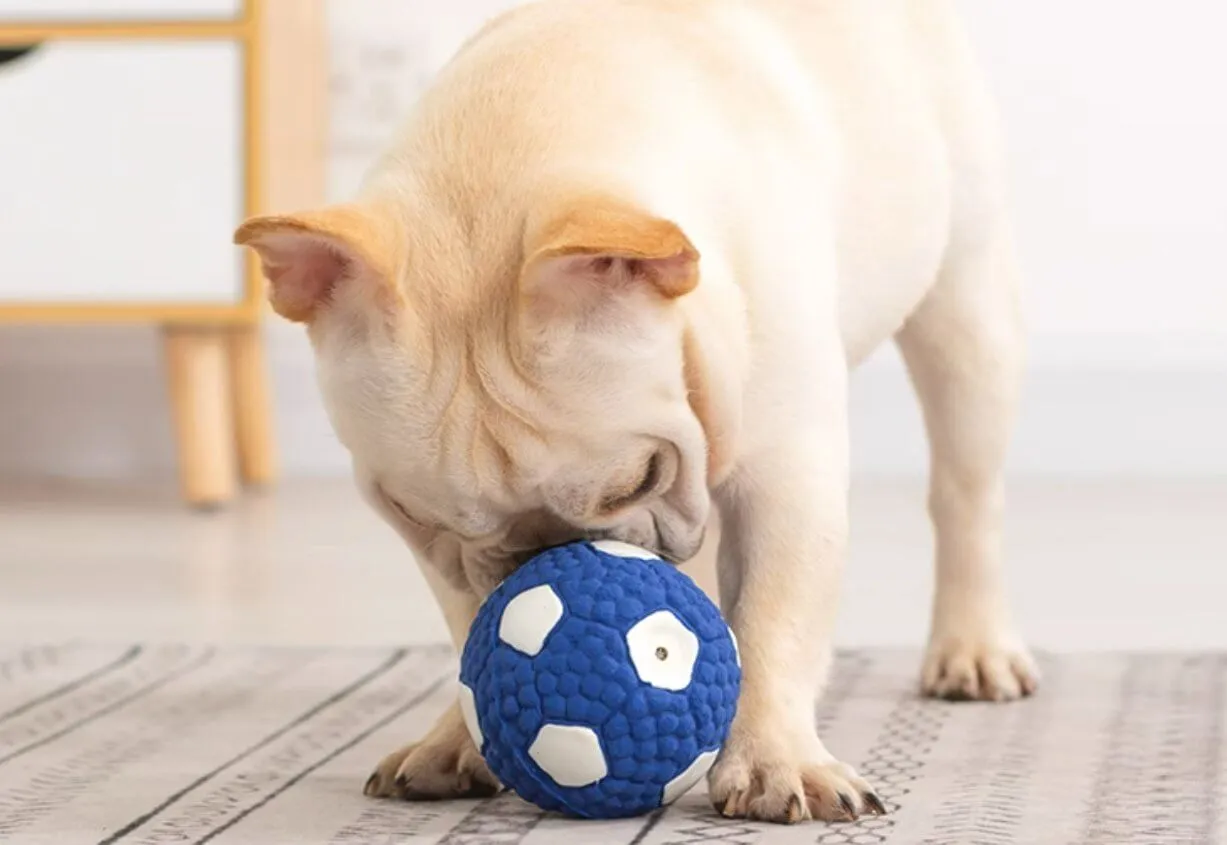 Dog Chew Toy Football Sound Training Ball