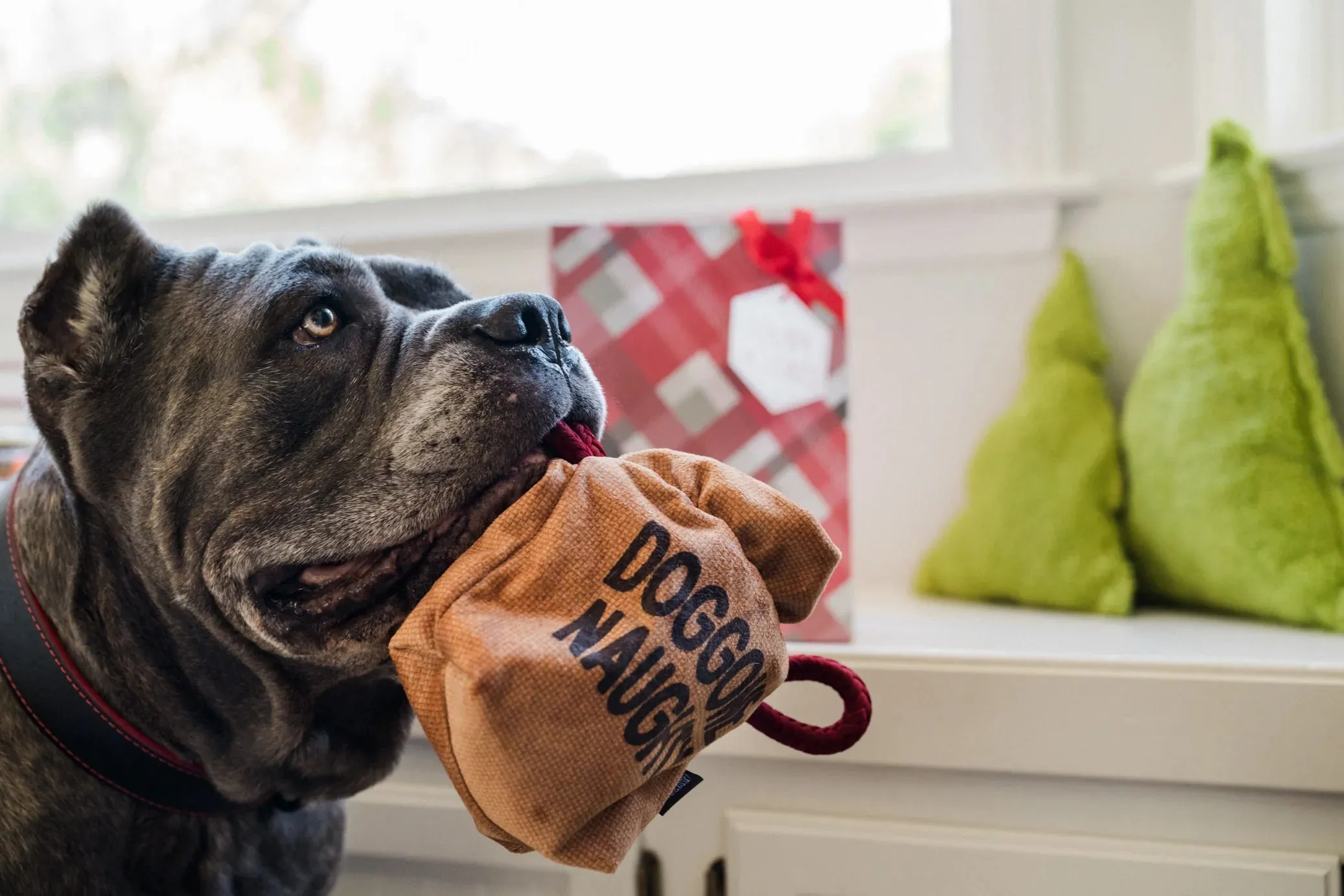 Dog Plush Toy - Home for the Holidays - Fur-ever Naughty