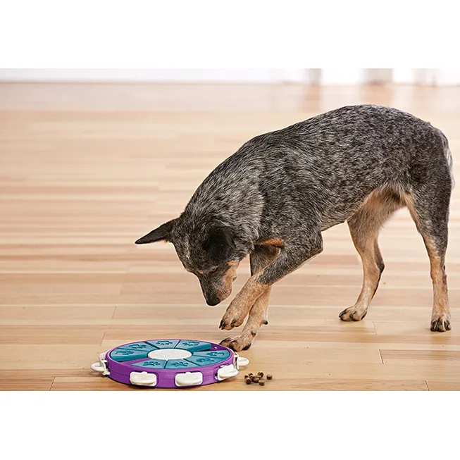 dog twister puzzle toy