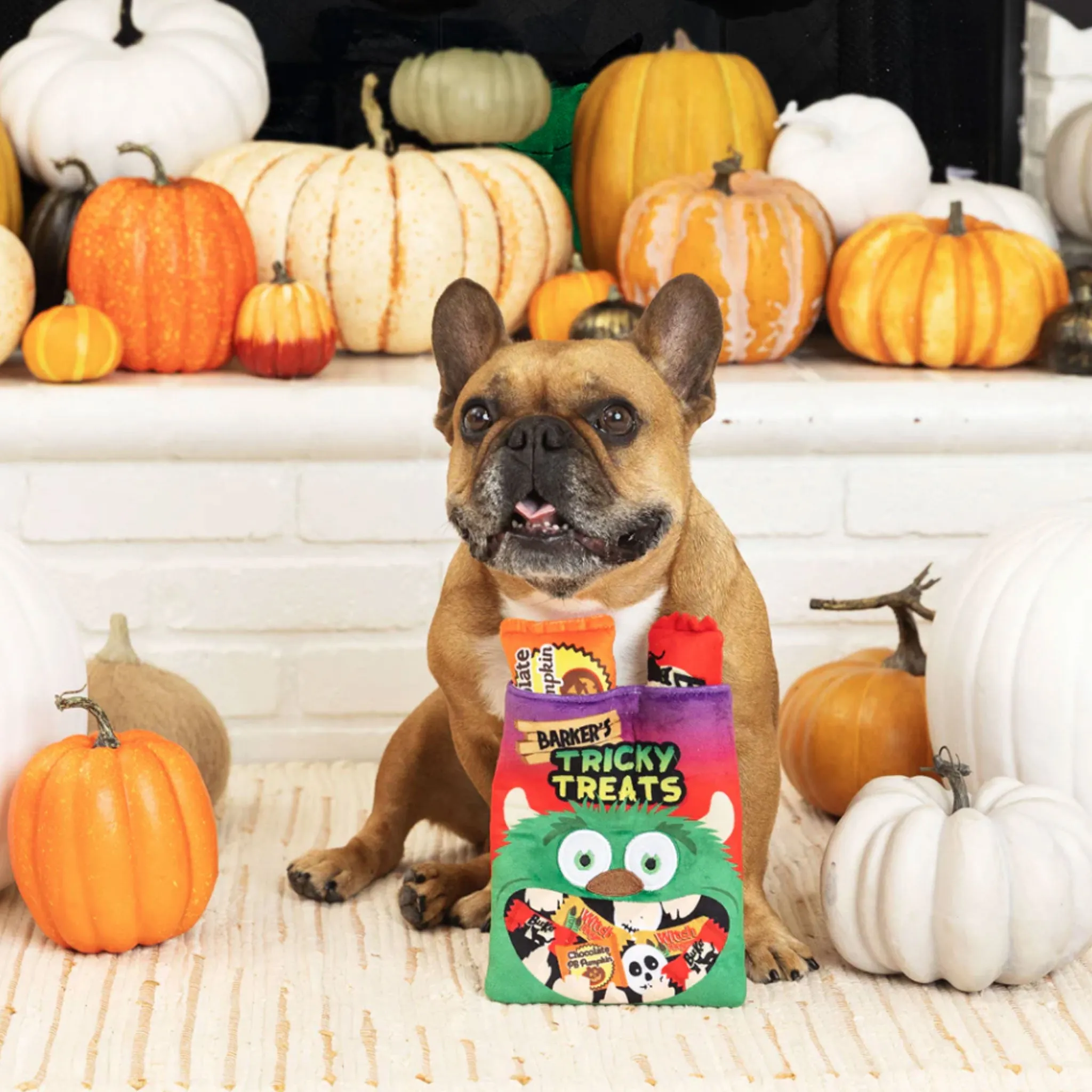 Fringe Tricky Treats Burrow Dog Toy