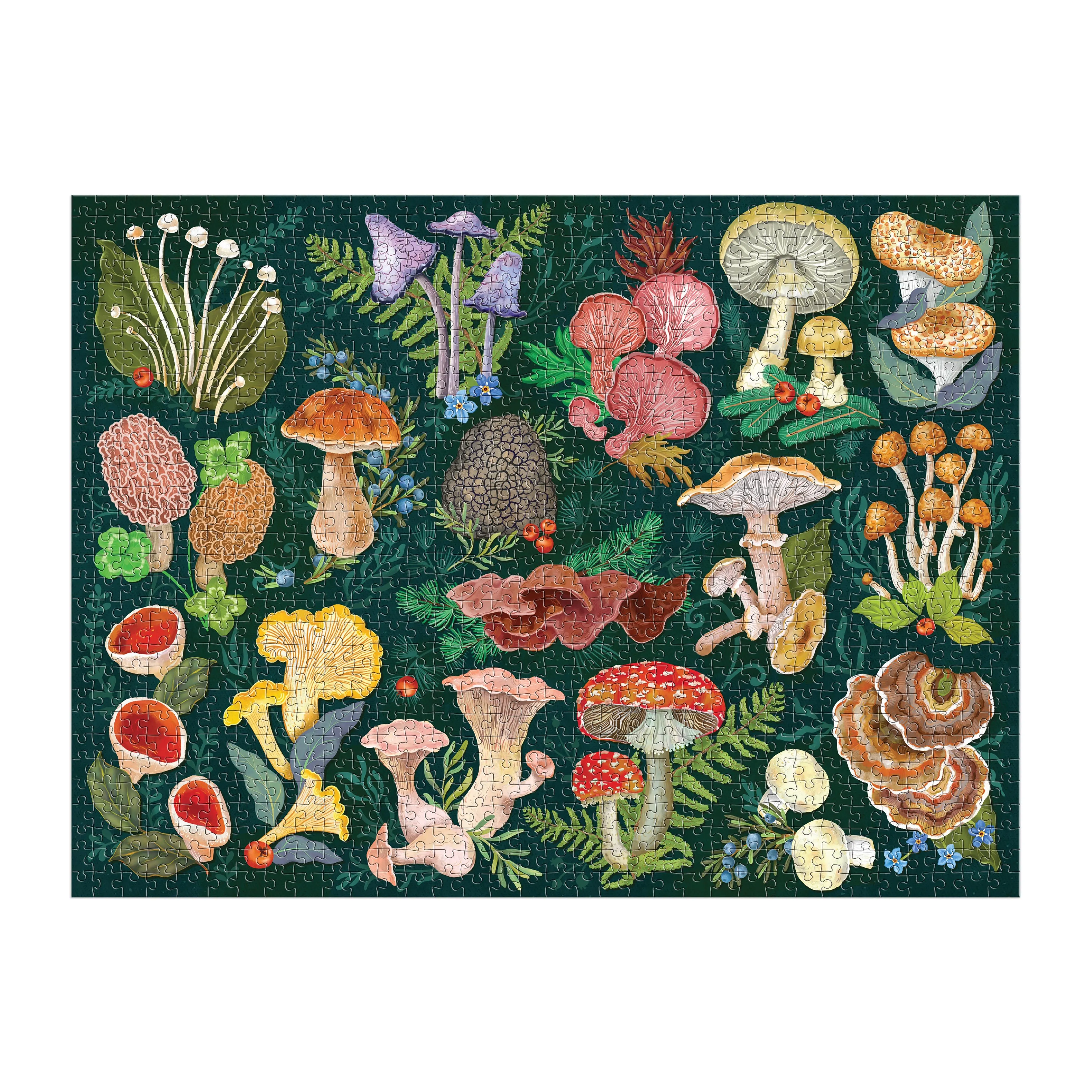 Galison World of Mushrooms Puzzle-1000pc Multi-Coloured