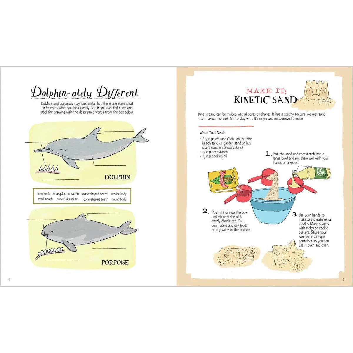 Julia Rothman's Ocean Anatomy Activity Book