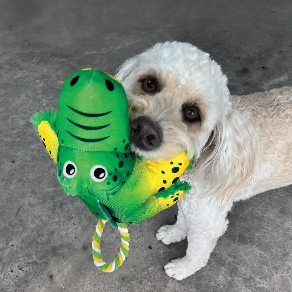 Kong Cozie Tuggz Frog Toy For Dog