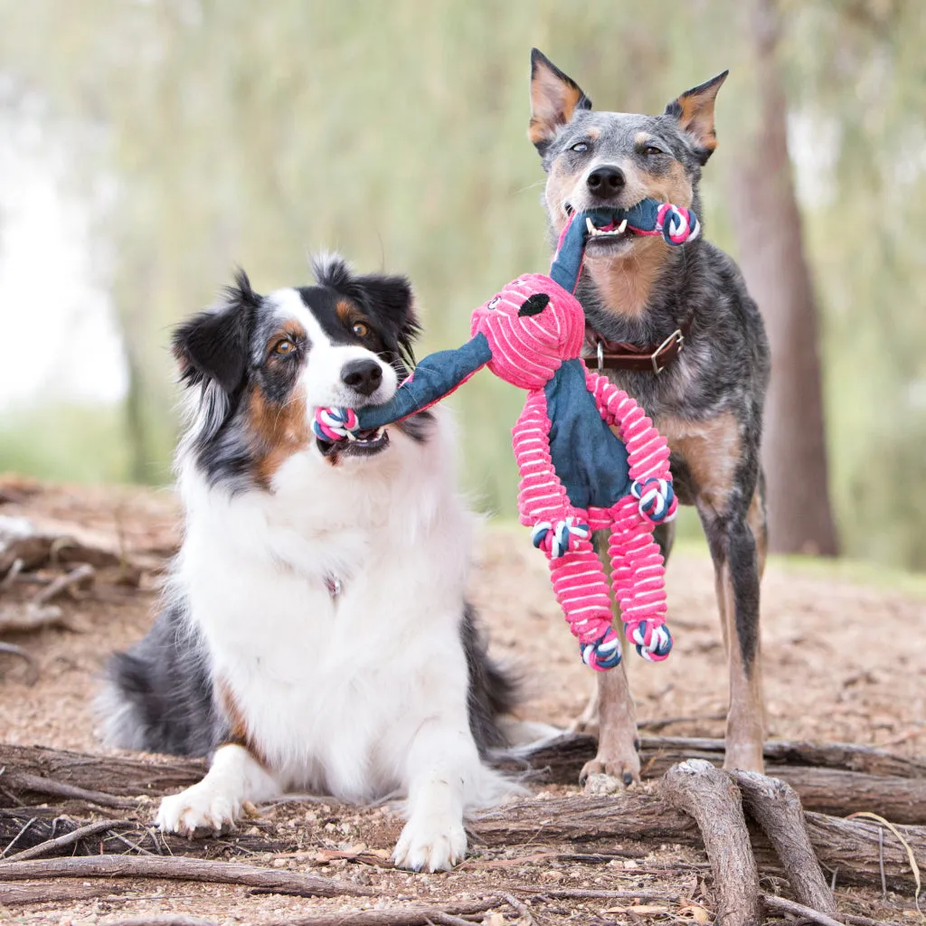 KONG Floppy Knots Elephant Toy For Dogs