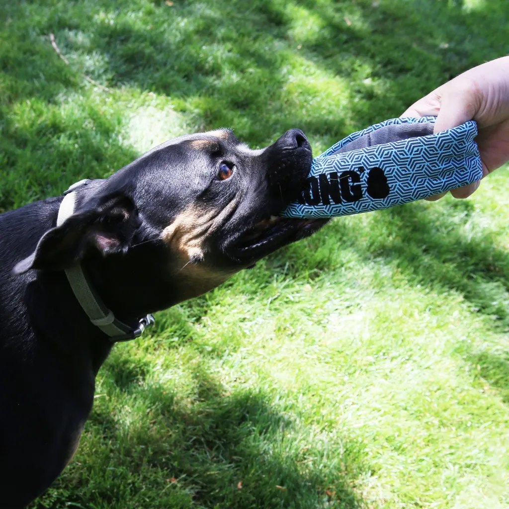 Kong Maxx Ring Toy For Dogs