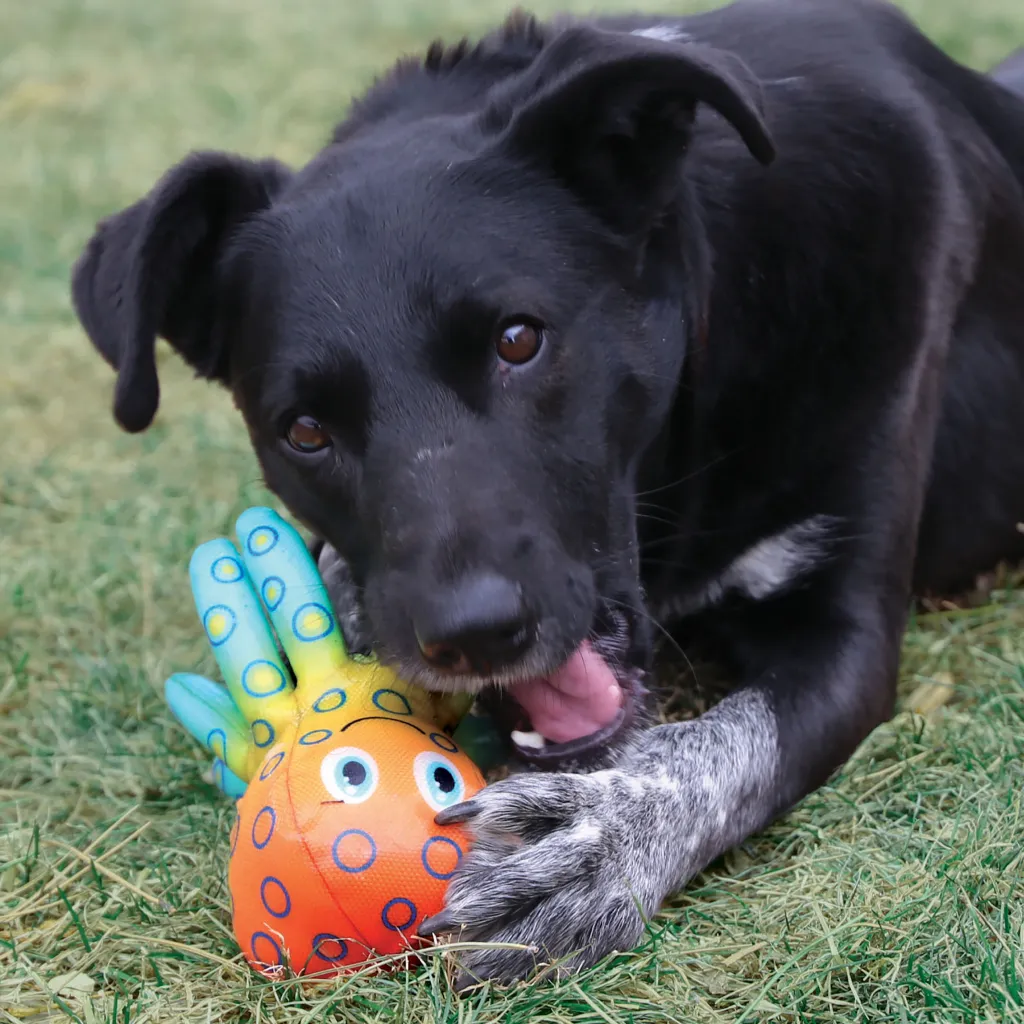 Kong Shieldz Tropics Octopus Toy For Dogs