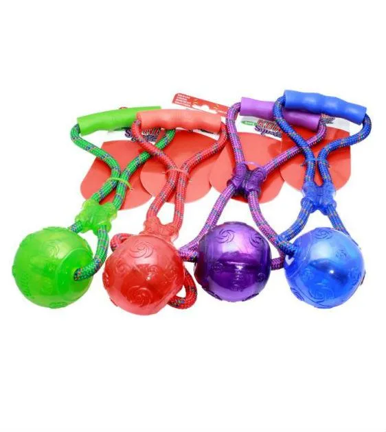 Kong Squeezz Ball with Handle Dog Toy