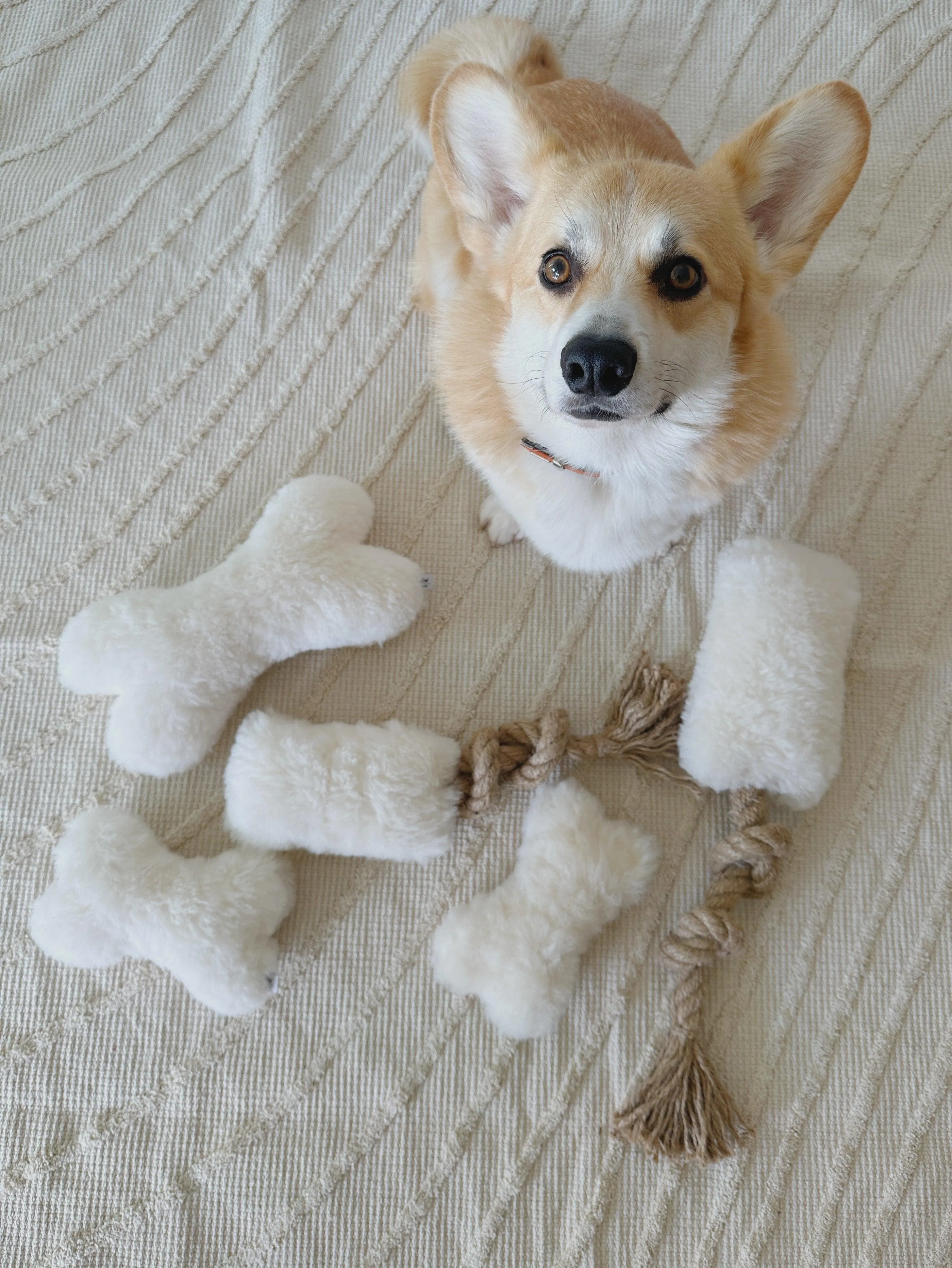 Natural Sheepskin Dog Toy - Bone - Black