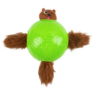 Nina Ottosson Snuffle Treat Ball Dog Toy