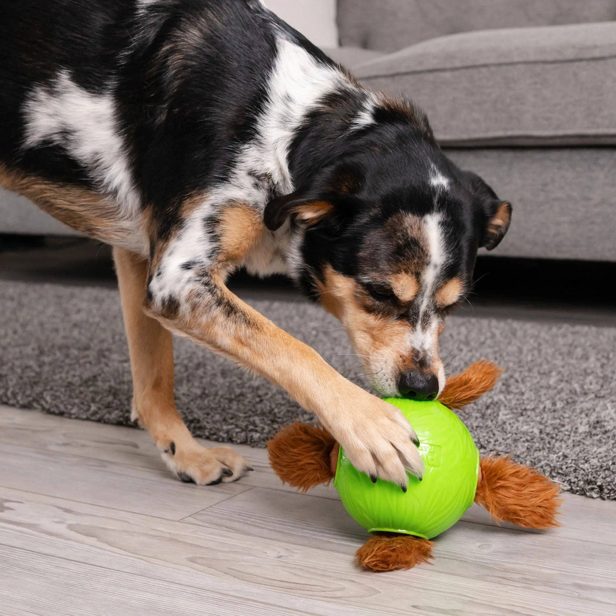 Nina Ottosson Snuffle Treat Ball Dog Toy