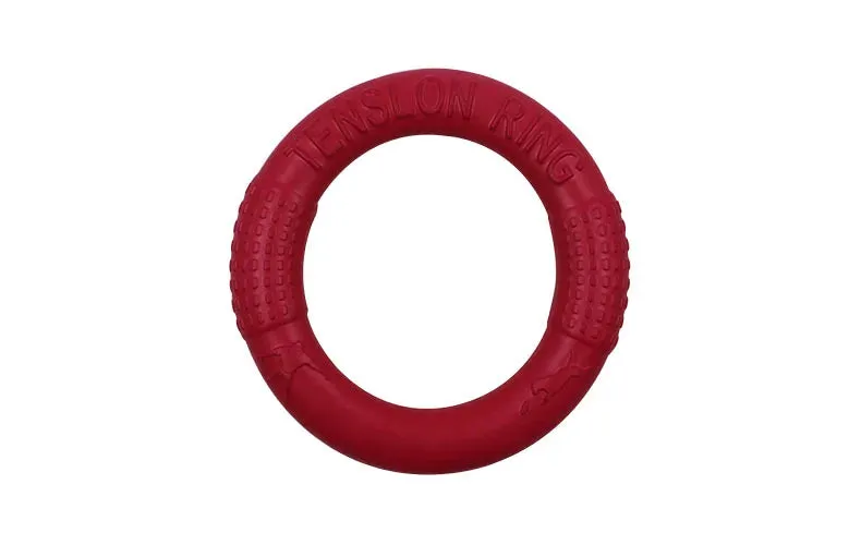 Pet Flying Disk Training Ring