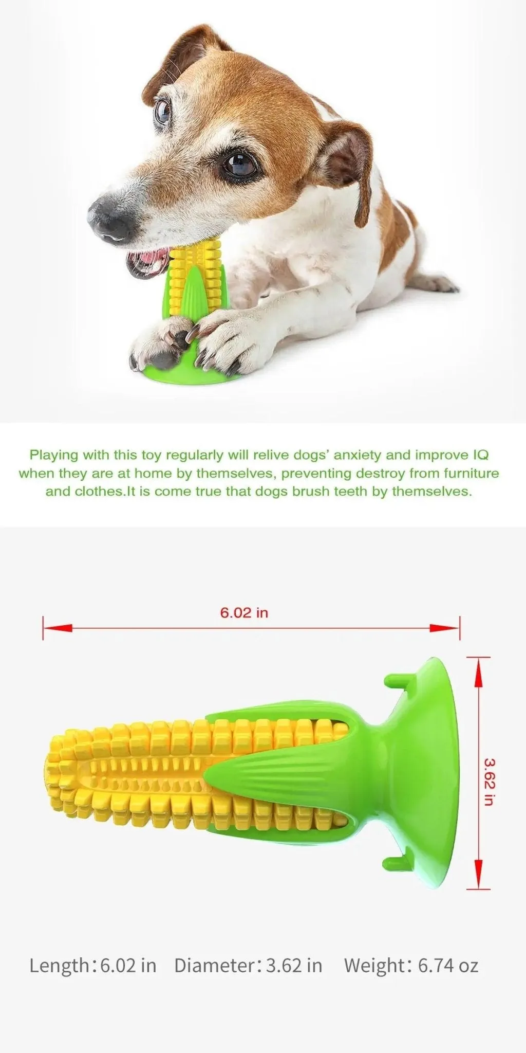 Pet Master Rubber Chew Dog Toy