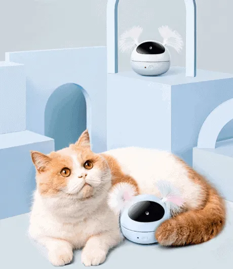 Roly-Poly 360 Cat Laser Robot