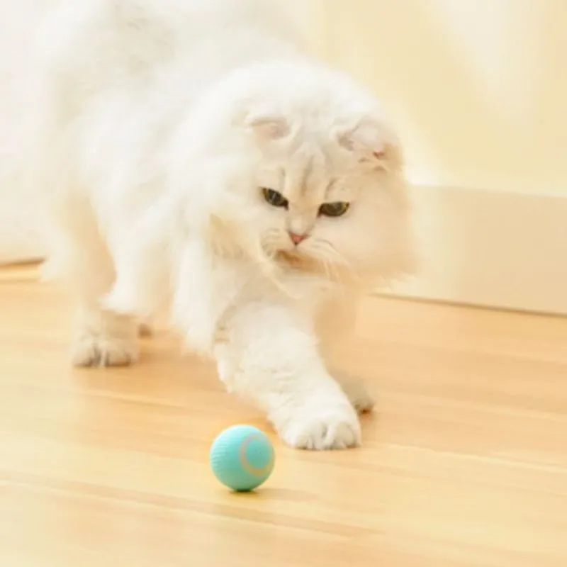 Smart Automatic Cat Teaser Ball