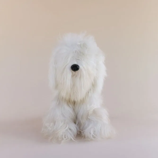 Toy Dog - Suri - Medium