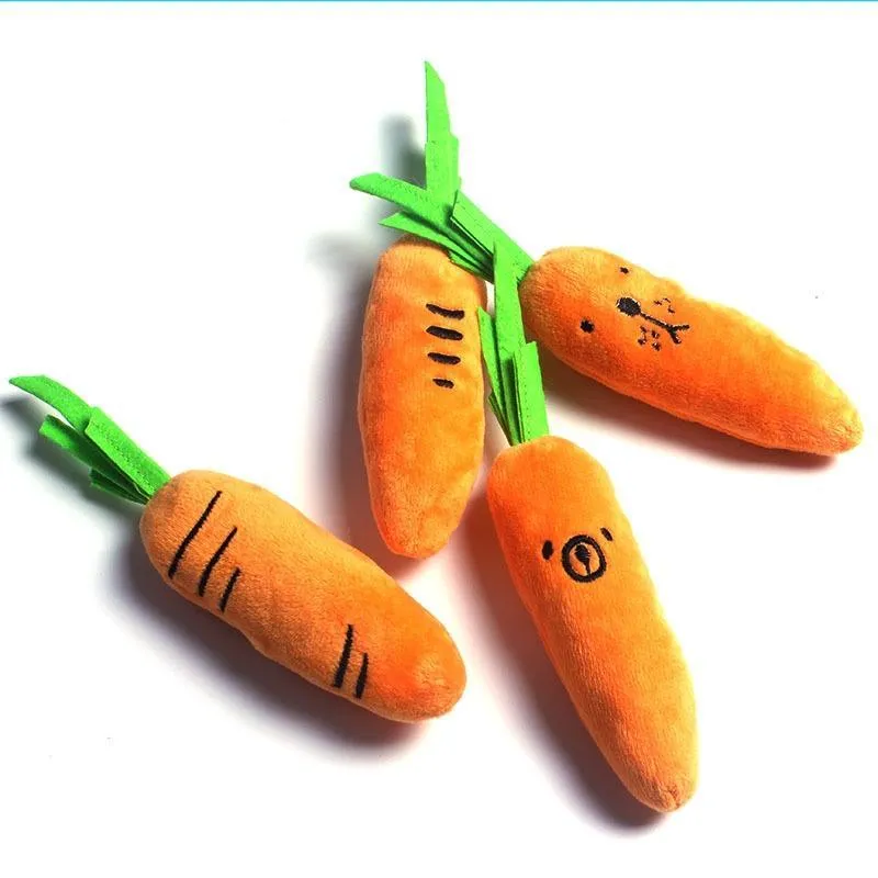 Vegetables Feeding Carrot Pet Products Dog Supplies Teath