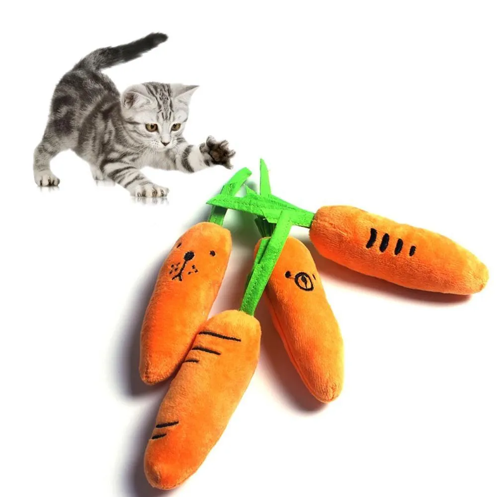 Vegetables Feeding Carrot Pet Products Dog Supplies Teath