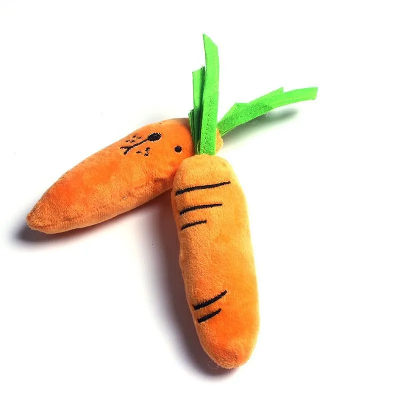 Vegetables Feeding Carrot Pet Products Dog Supplies Teath